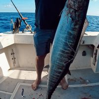 Cape Escape 41ft Fishing Charter