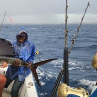 SEA SKIPPER FISHING CHARTERS