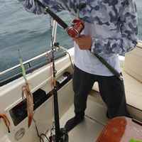 Bluefin and Halibut Fishing on Sakhalin and Kuril Islands