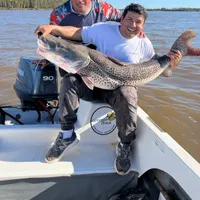 Golden Dorado Fishing