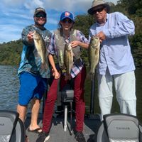 Alabama Bass Fishing
