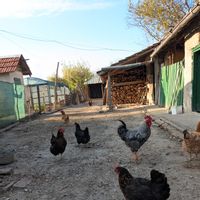 Authentic Bulgaria Fishing Club