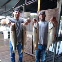 Texoma Striper Fishing