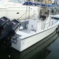 28 ft Super Panga Fishing Charter