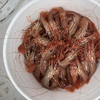 All-inclusive Alaskan Charter Yacht