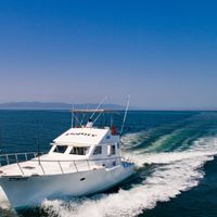 Piquis 46' Fishing Charter