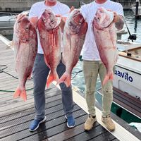 Gavito - Madeira Fishing Charters