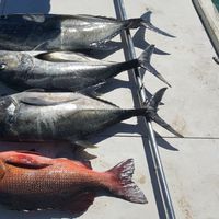 Golden Point Fishing Charters