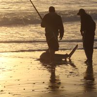 Damaraland Photographic and Skeleton Coast Fishing Safari