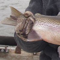 Trophy Trout Fishing Trip