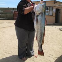 Damaraland Photographic and Skeleton Coast Fishing Safari