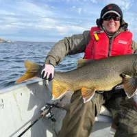 Lake Trout