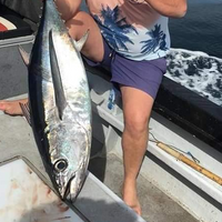 Screaming Reels Fishing Charters