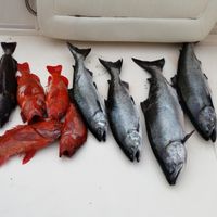 May Salmon  Fishing Adventure