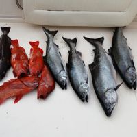 May Salmon Fishing Adventure