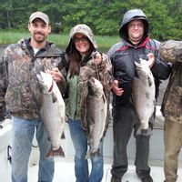 Am Lake Ontario Brown Trout fishing Trip