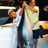 Ross Charters Sport Fishing Loreto BCS