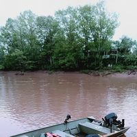 Striped Bass of the Stewiacke