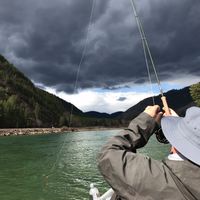 Montana Fly Fishing