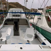 Cabo san lucas fishing Charters