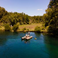 Half Day Fly Fishing Trip - Bariloche