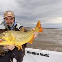 Golden Dorado Fishing on the Parana River