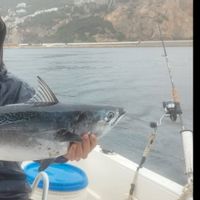 Mackerel Fishing Full Day (6 hrs)