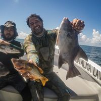 Spearfishing Charter