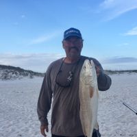 Guided Surf Fishing Trips - Destin, FL