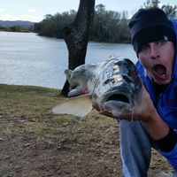 Guided Fishing trips on the Vaal River