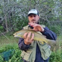 Fishing trout
