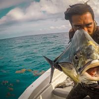 Spearfishing Charter