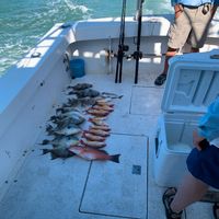 Miss Joan Deep Sea Fishing