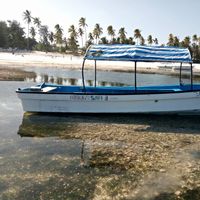 ZANZIBAR -TANZANIA SMART FISHING