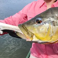 El Kapricho PCR Vichada Colombia