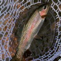 Guided River Fishing Trip
