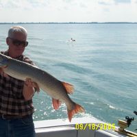 Sport Fishing Lake St Clair