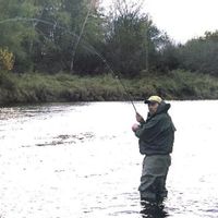 Walk & Wade Fly Fishing on River Philip