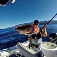 Best Fishing Madeira