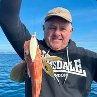 PREMIUM FISHING CHARTER , NZ, NORTHLAND