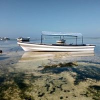 ZANZIBAR -TANZANIA SMART FISHING