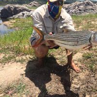 SA Tiger Fishing