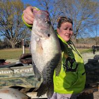 Guided Crappie Fishing