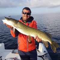 Fishing trips in France for pike, trout, perch in lakes and rivers; and medireranean's and Atlantic's fishes' border ... with lures and fly.