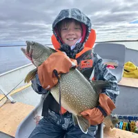 Lake Trout