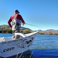 Half Day Fly Fishing Trip - Bariloche