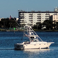 Bendin Rods Fishing Charters
