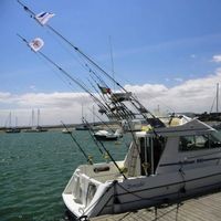 Alvor Fishing Donzela