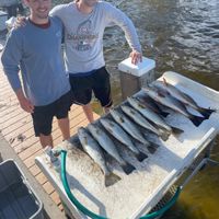 Fishing Charters w/ Capt Taylor Cowieson