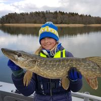 Fishing with Henrikssonsfiske.se